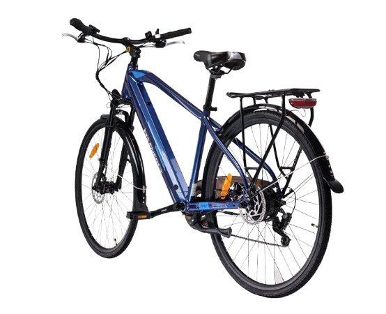 MS ENERGY eBike c11